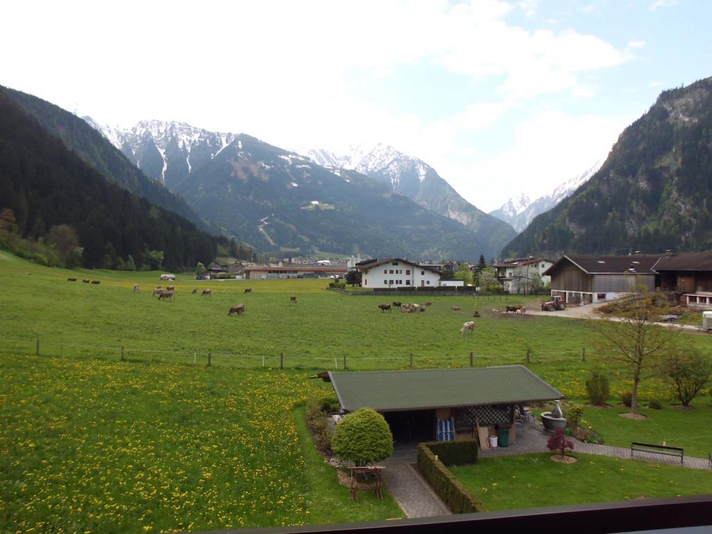 Ferienwohnungen Rahm Mayrhofen Rom bilde